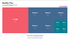 Preview Badža Flex